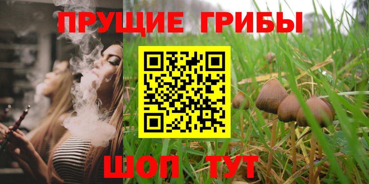 Новоуральск  Псилоцибиновые грибы GOLDEN TEACHER  наркота  Вход с VPN 